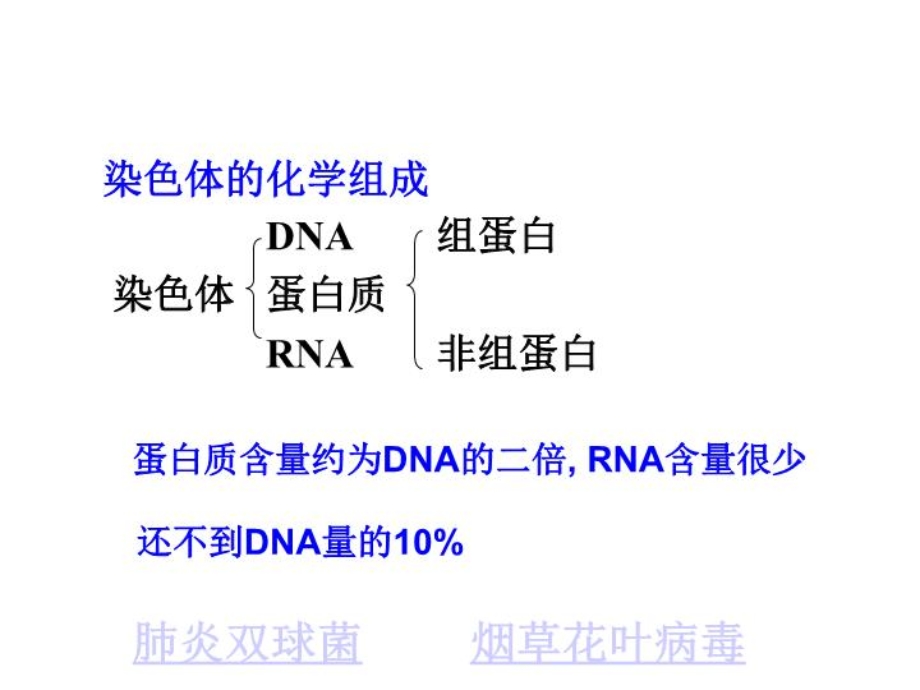 核酸是遗传物质课件.ppt_第2页