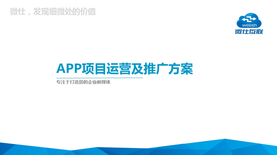 小程序APP定制开发运营推广方案ppt课件.ppt_第2页