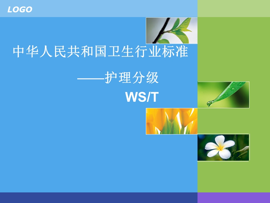 标准 护理分级课件.ppt_第1页