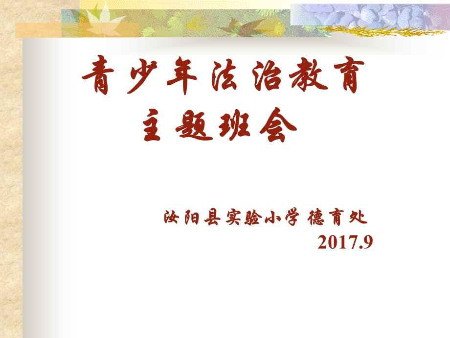 小学生法治教育ppt课件.ppt_第1页