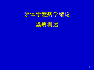 牙体牙髓病学论课件.ppt