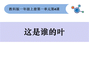 教科版一年级科学上册一上一4这是谁的叶课件.ppt