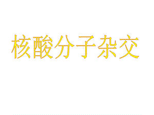 核酸分子杂交与应用课件.ppt