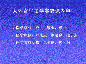 寄生虫实验复习课件.ppt