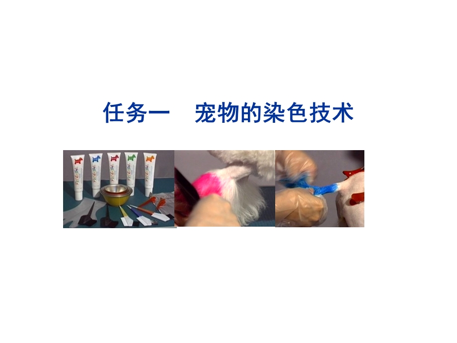 宠物美容与护理教材.pptx_第3页