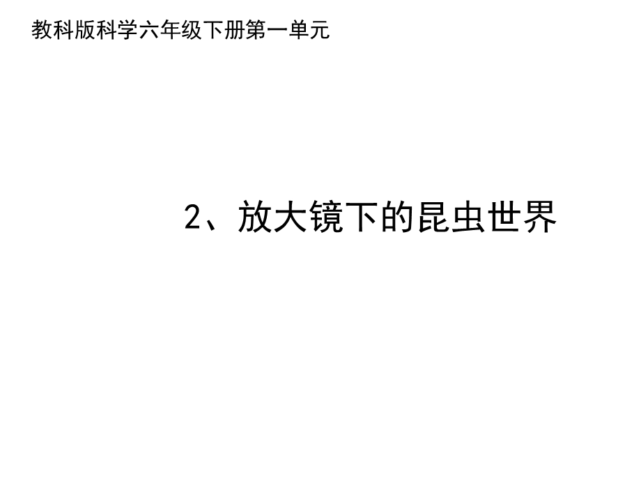 教科版小学科学六年级下册科学2《放大镜下的昆虫世界》课件(23张).ppt_第1页