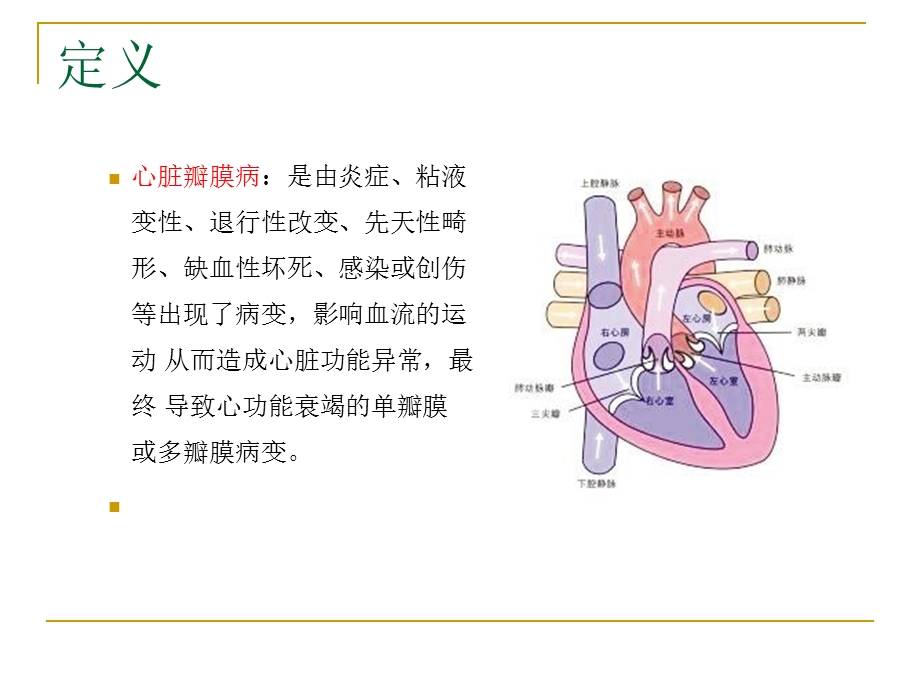 心脏瓣膜病的护理查房ppt课件.ppt_第2页