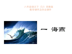 海燕教学课件及作业课件完整版.ppt