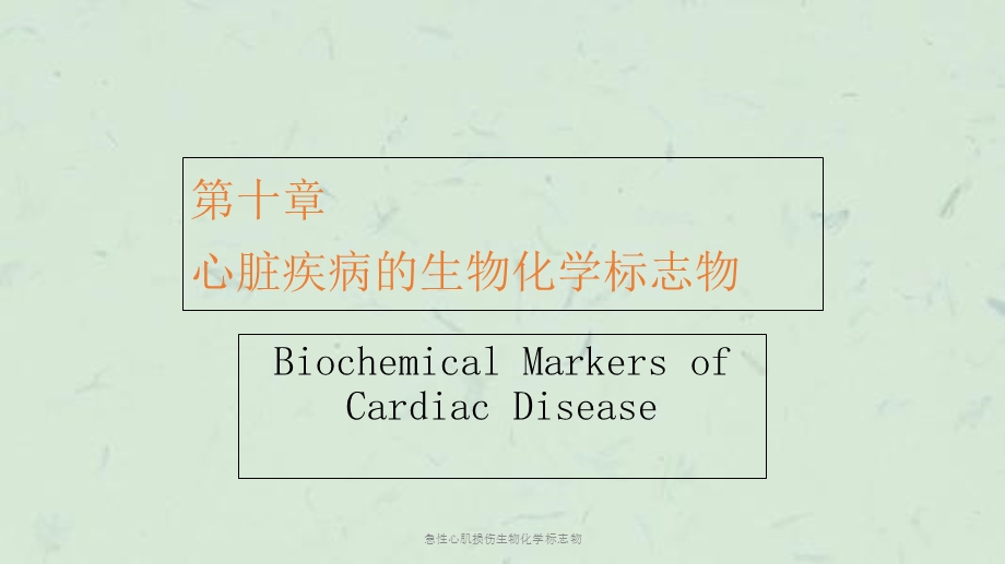 急性心肌损伤生物化学标志物课件.ppt_第1页