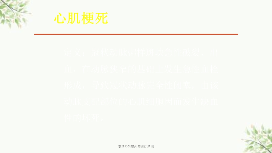 急性心肌梗死的治疗原则课件.ppt_第2页