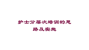 护士分层一次培训的思路及实施培训课件.ppt