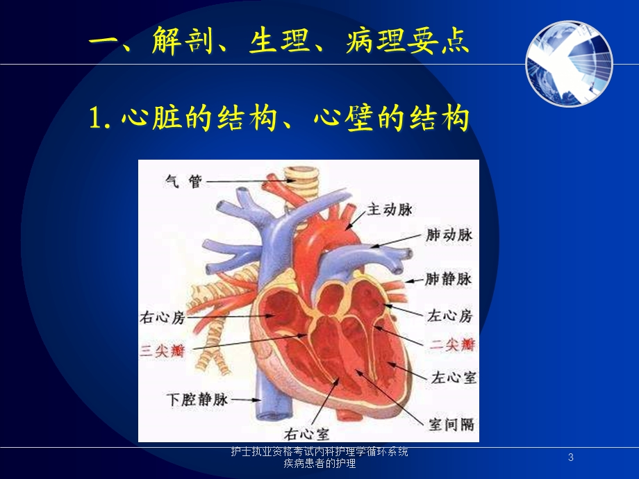 护士执业资格考试内科护理学循环系统疾病患者的护理培训课件.ppt_第3页