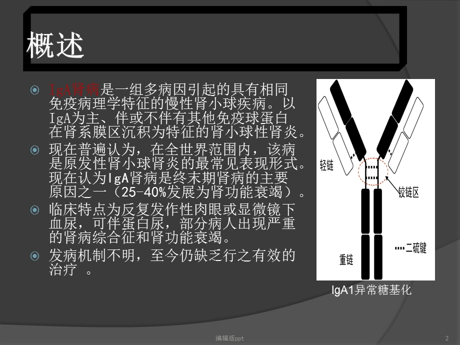 扁桃体切除对IgA肾病的影响课件.ppt_第2页