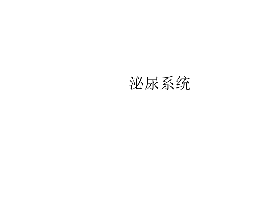 泌尿系统影像诊断·课件.ppt_第1页