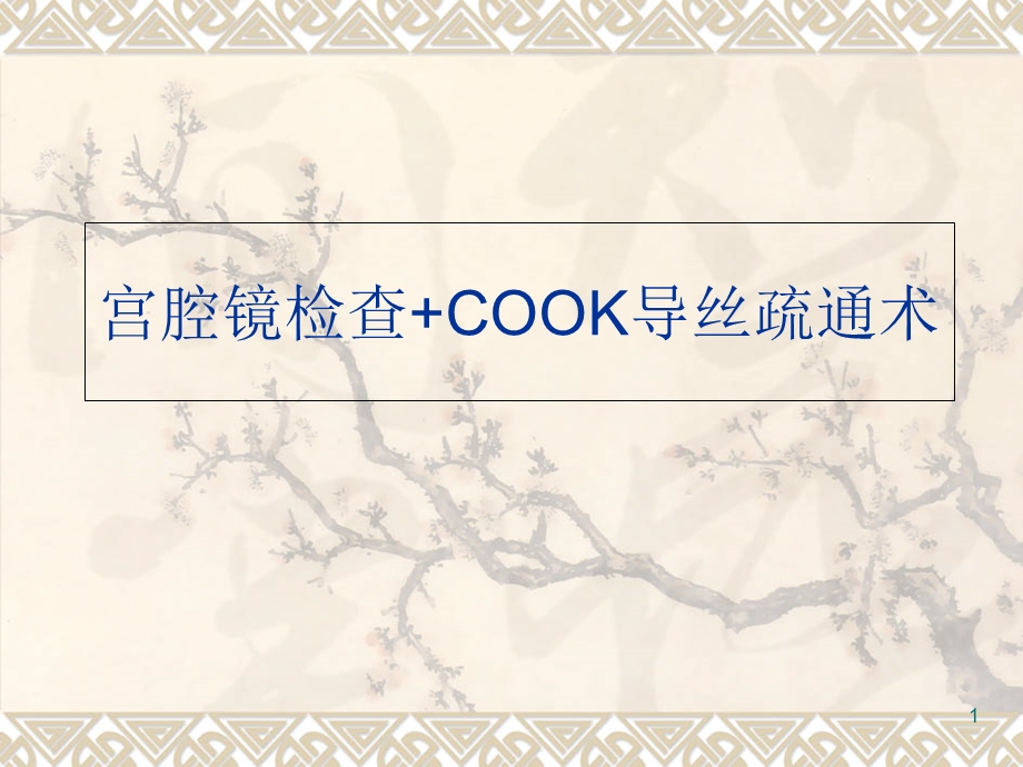 宫腔镜检查COOK导丝精选课件.ppt_第1页