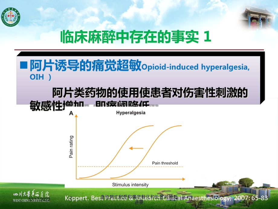 急性阿片耐受和痛觉敏化和处置对策新进展培训课件.ppt_第2页