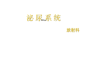 泌尿系造影影像诊断课件.ppt