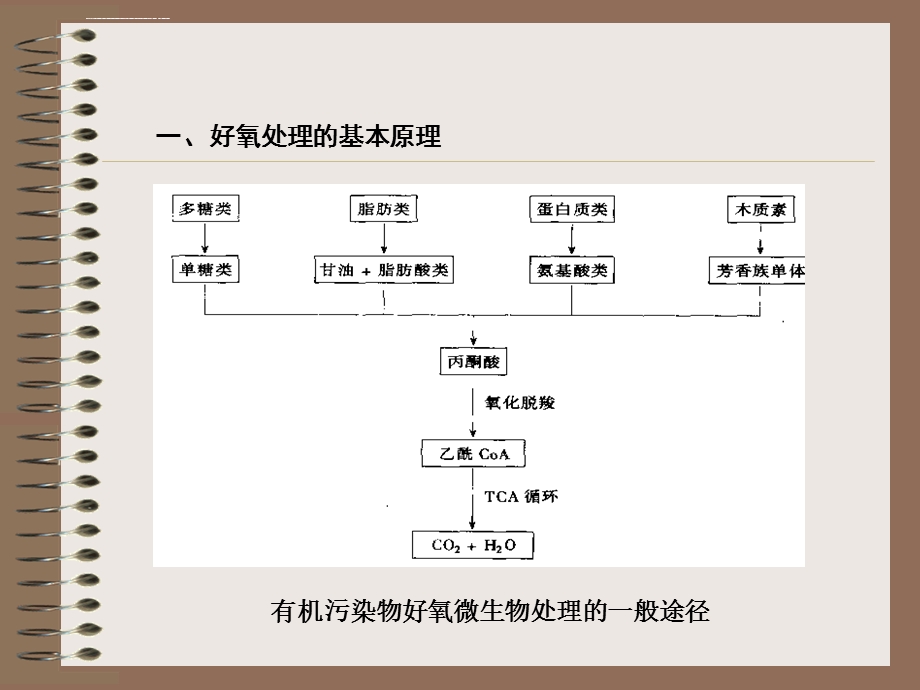 微生物处理废水原理及应用ppt课件.ppt_第3页