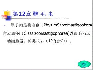 杜氏利什曼原虫1课件.ppt