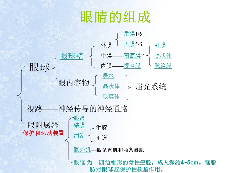 巩膜炎护理查房课件.ppt_第3页