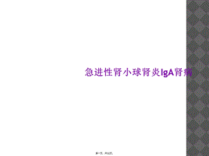 急进性肾小球肾炎IgA肾病课件.ppt