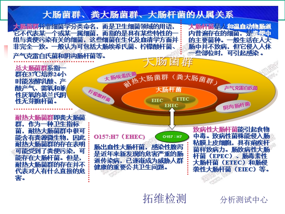 大肠杆菌专业知识讲座课件.ppt_第1页