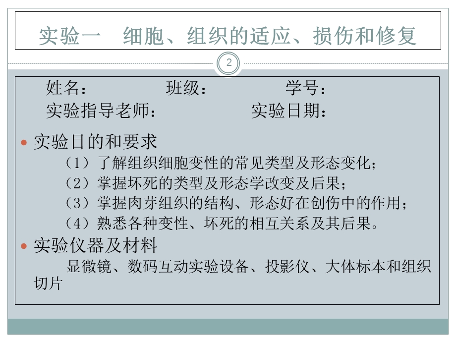 护理本科病理生理实验课件.ppt_第2页