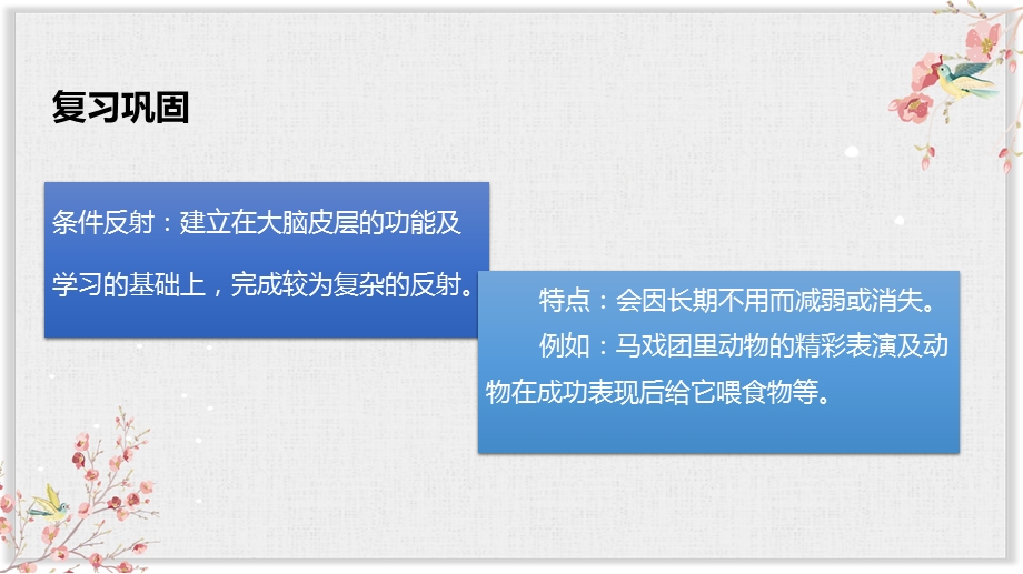 浙教版八年级科学上册课件《动物的行为》.pptx_第3页