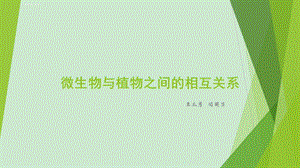 微生物与植物互作ppt课件.ppt