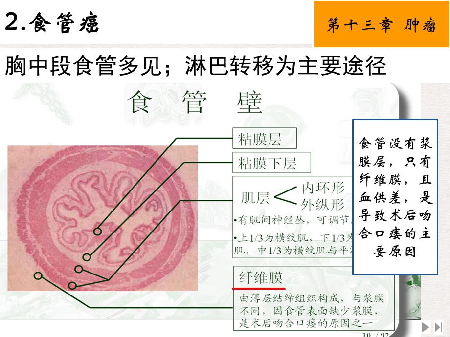 护士职业资格考试辅导三课件.ppt_第3页