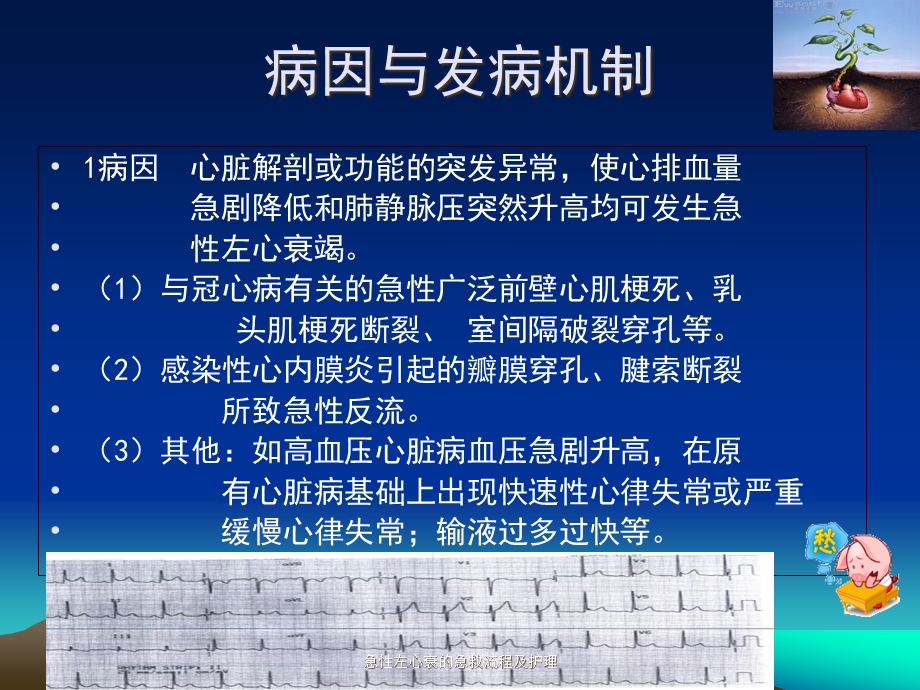 急性左心衰的急救流程及护理课件.ppt_第3页