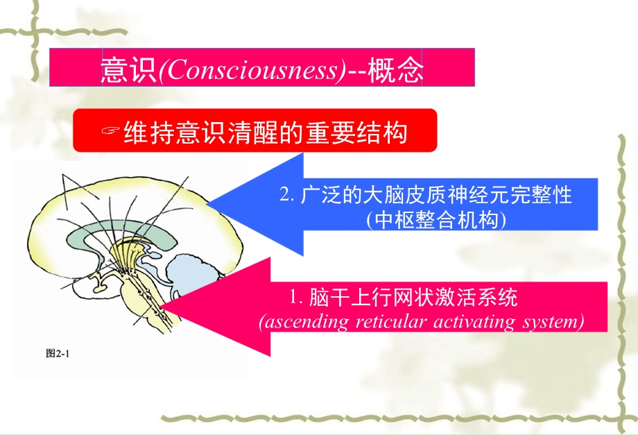 意识障碍分级周晓晖讲解ppt课件.ppt_第3页