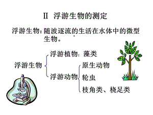 浮游生物的测定课件.ppt