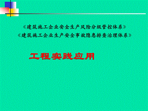 建筑施工双体系建设实践与应用ppt课件.ppt