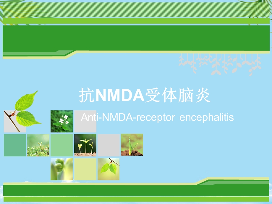 抗NMDA受体脑炎课件全面版.ppt_第1页