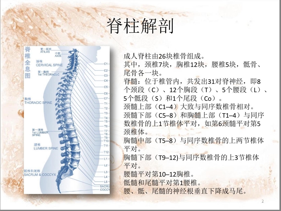 截瘫的康复护理课件.ppt_第2页