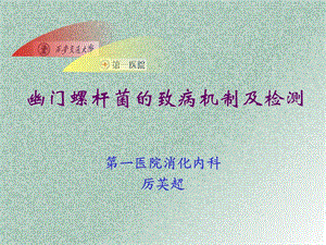 幽门螺杆菌的致病机制及检测ppt课件.ppt