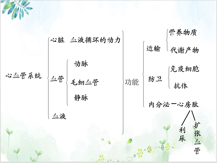 畜禽解剖学心血管系统课件.ppt_第3页