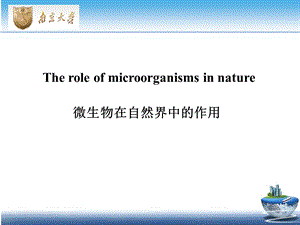 微生物在自然界中的作用ppt课件.pptx