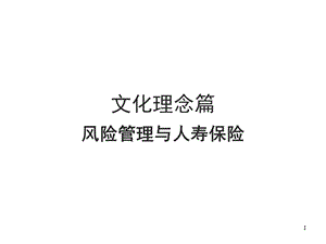 文化理念：风险管理与人寿保险课件.ppt