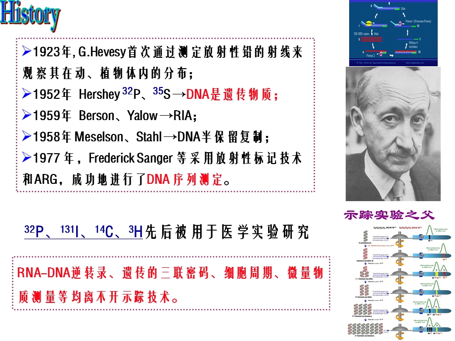 核医学第4章放射性核素标记化合物课件.ppt_第3页