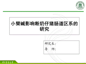 开题报告华中农业大学ppt模板 模板华中农业大学课件.ppt