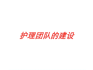 护理团队的建设培训课件.ppt