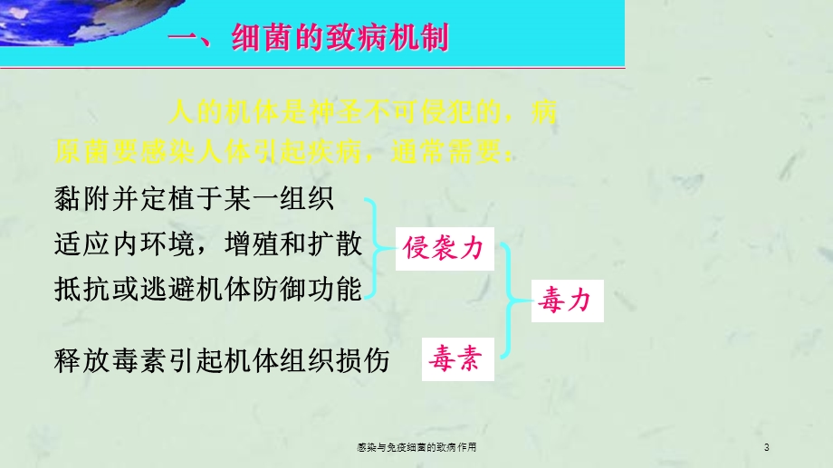 感染与免疫细菌的致病作用课件.ppt_第3页