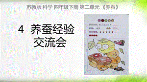 小学科学养蚕经验交流会PPT课件.ppt