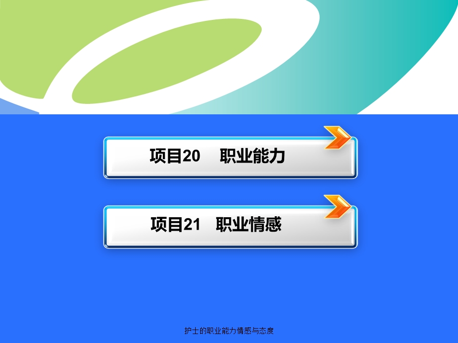 护士的职业能力情感与态度课件.ppt_第3页