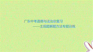 广东中考道德与法治总复习——主观题解题方法专题训练ppt课件.pptx