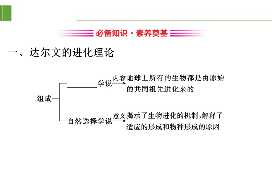 新教材人教版20版生物必修二61公开课优质实用课件.ppt_第3页