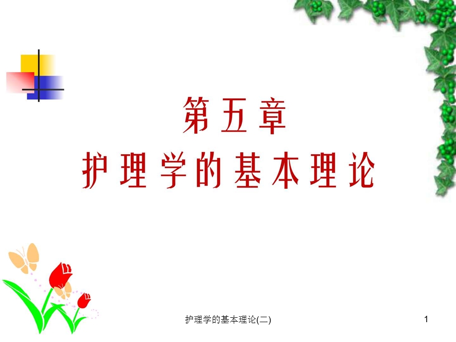 护理学的基本理论(二)课件.ppt_第1页