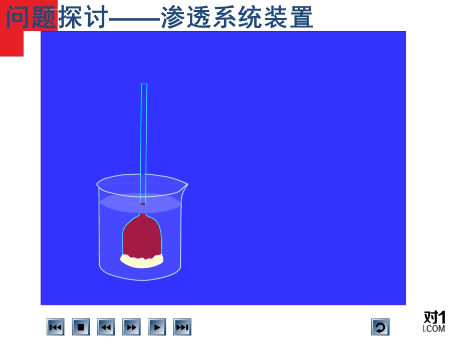 必修1第4章 第1节物质跨膜运输的实例ppt课件.ppt_第2页